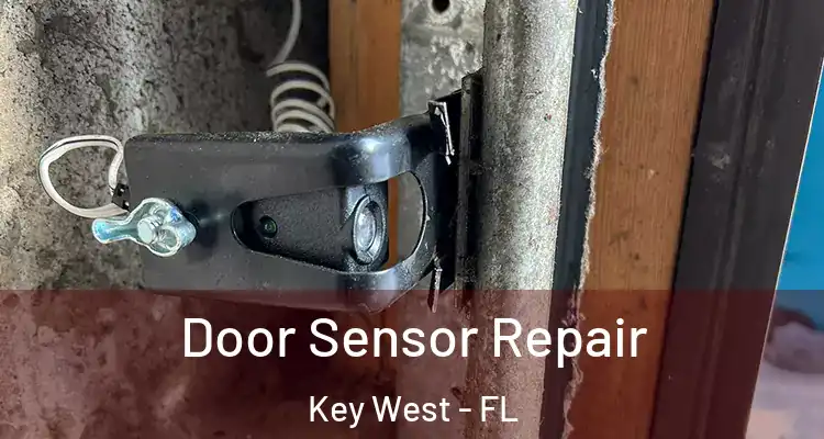  Door Sensor Repair Key West - FL